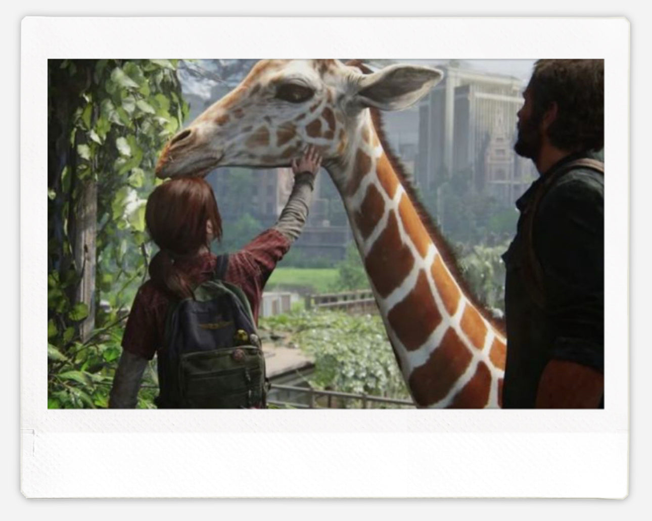The last of us🌿    فوتوكارد على حسب الاختيار 📷