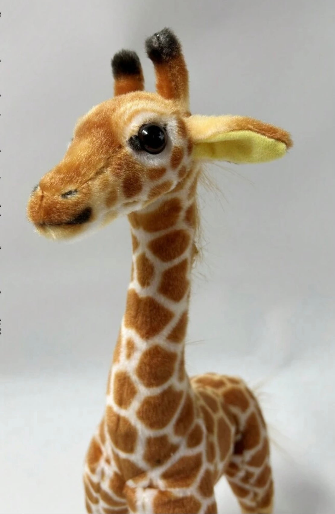 omg it is a giraffe !!🦒 Happy birthday Ellie the last of us 2